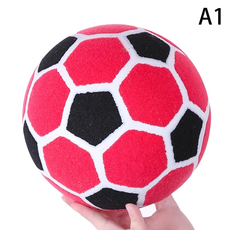 ballon de foot